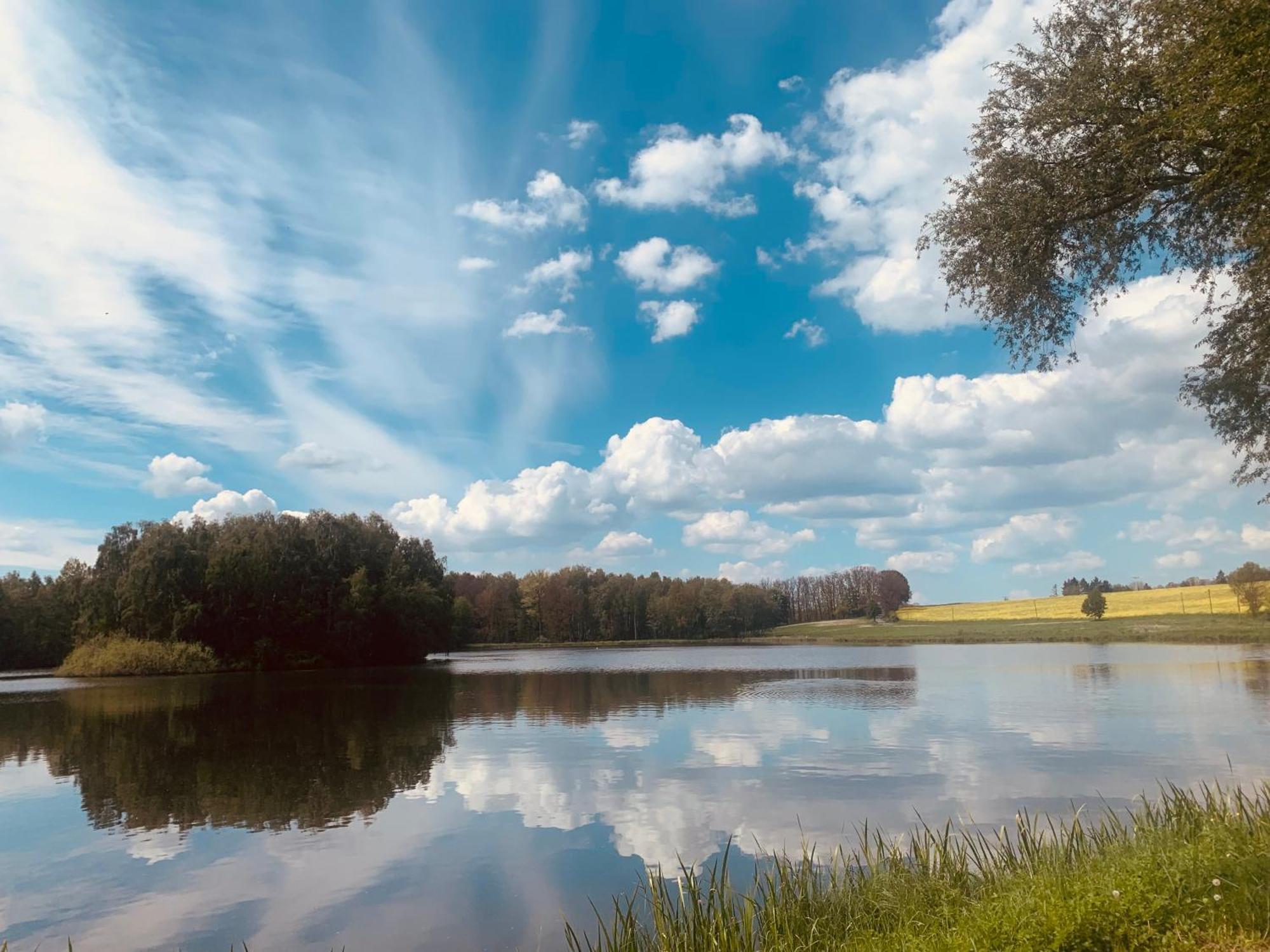Gemuetliche Ferienwohnung In Idyllischer Lage-Auf Dem Land Dittersdorf Eksteriør bilde
